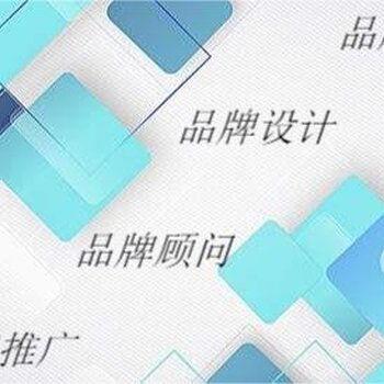 打造企业品牌形象 战略设计与专业建设指南